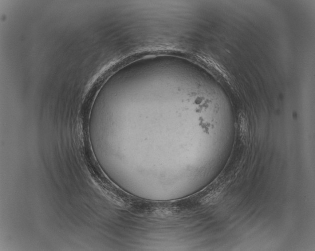 X0000068850684200605081215