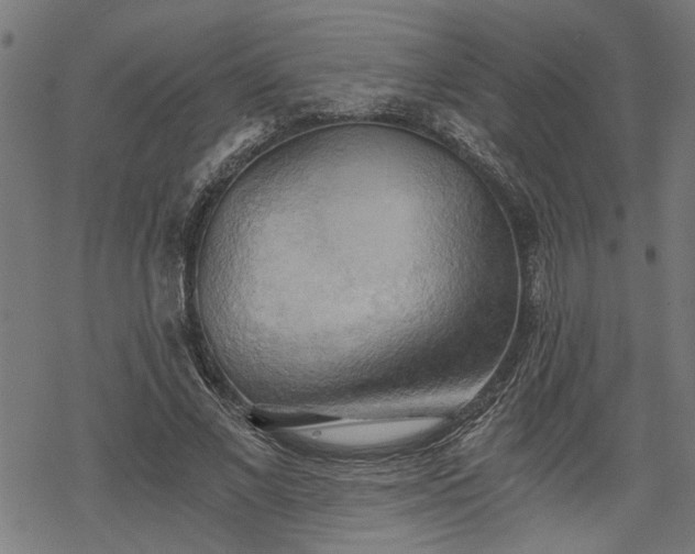 X0000068850685200605081215