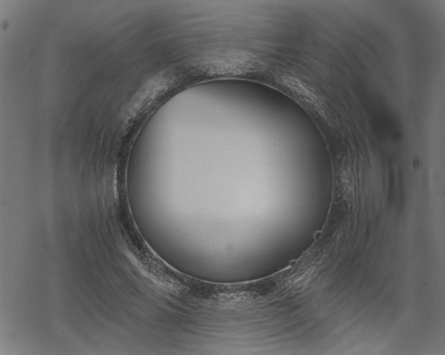 X0000068850686200605081215