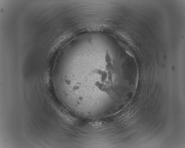 X0000068850687200605081215