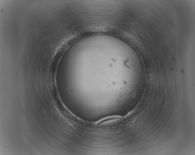 X0000068850688200605081215