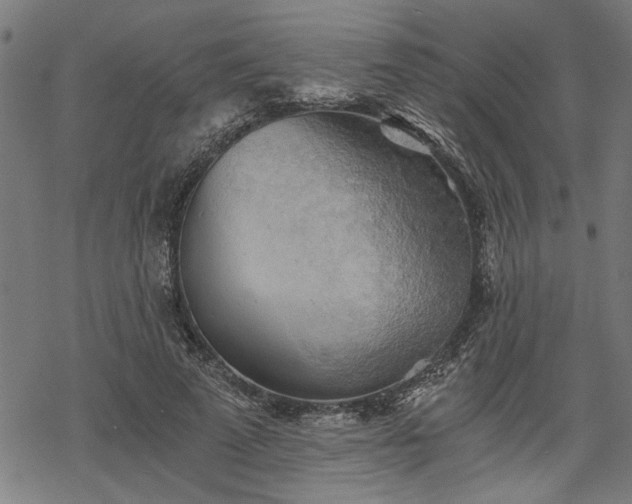 X0000068850689200605081215