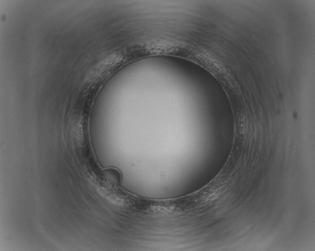 X0000068850690200605081215