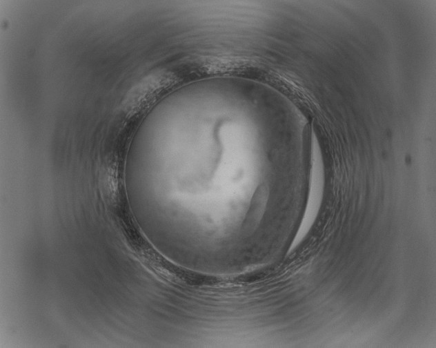 X0000068850691200605081215