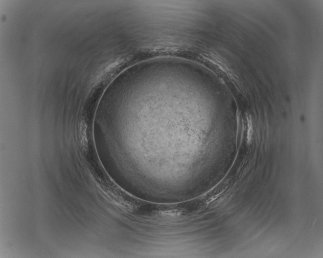 X0000068850692200605081215