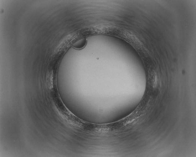 X0000068850694200605081215