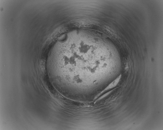 X0000068850695200605081215