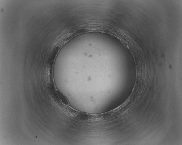 X0000068850696200605081215