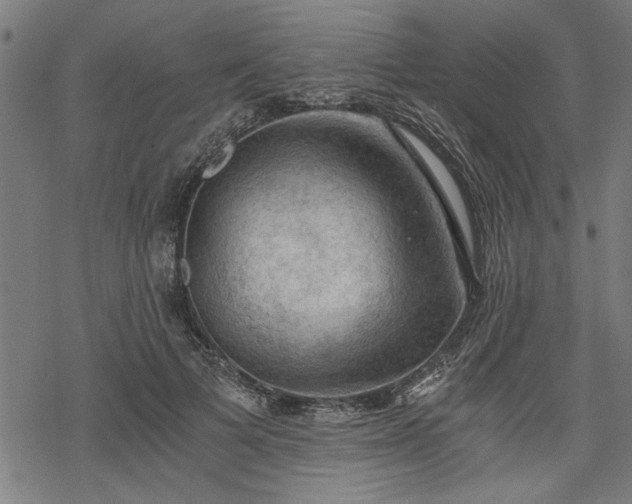 X0000068850697200605081215