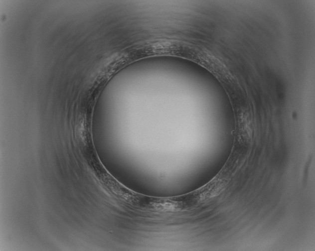 X0000068850698200605081215