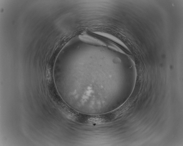 X0000068850699200605081215