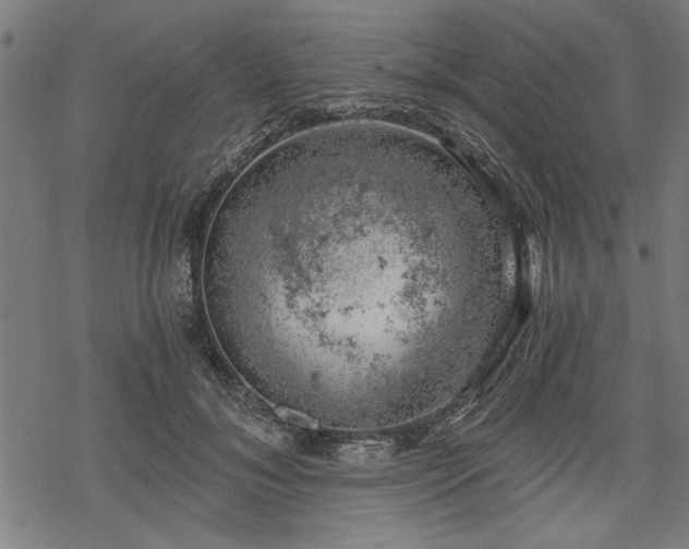 X0000068850700200605081215