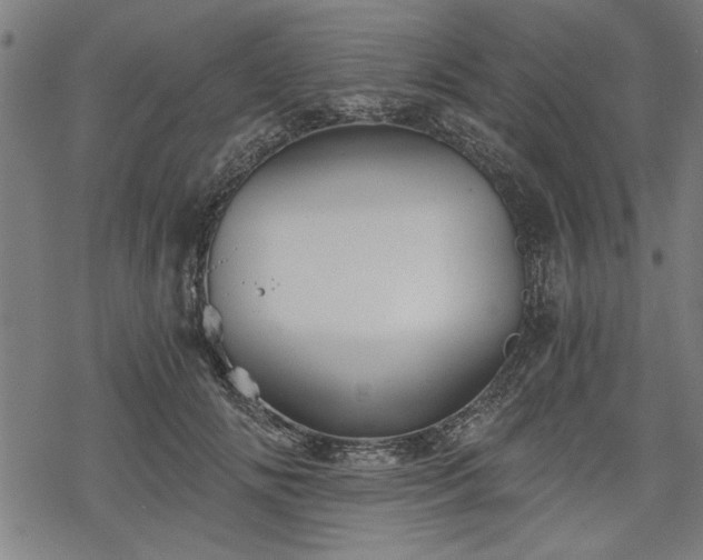 X0000068850702200605081215