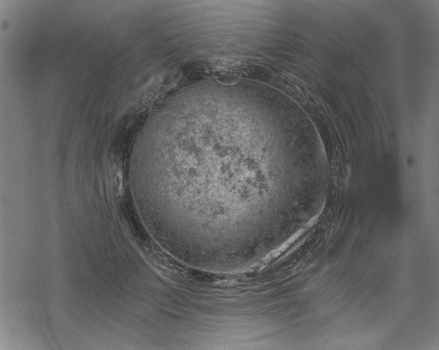 X0000068850703200605081215