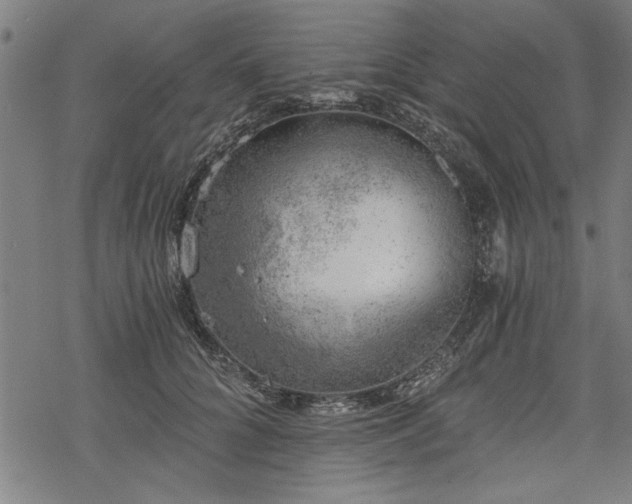 X0000068850704200605081215