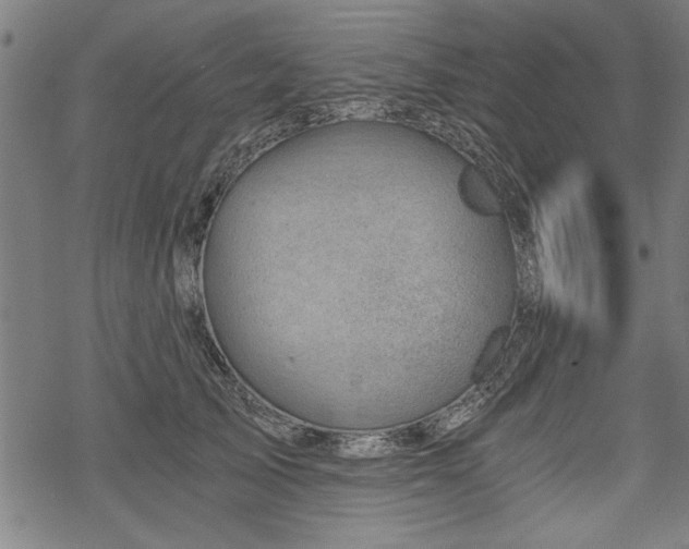 X0000068850705200605081215