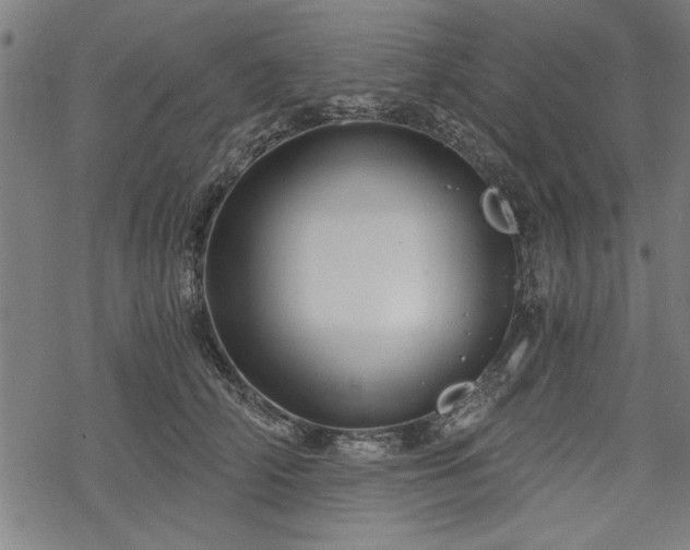 X0000068850706200605081215