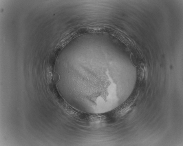 X0000068850707200605081215