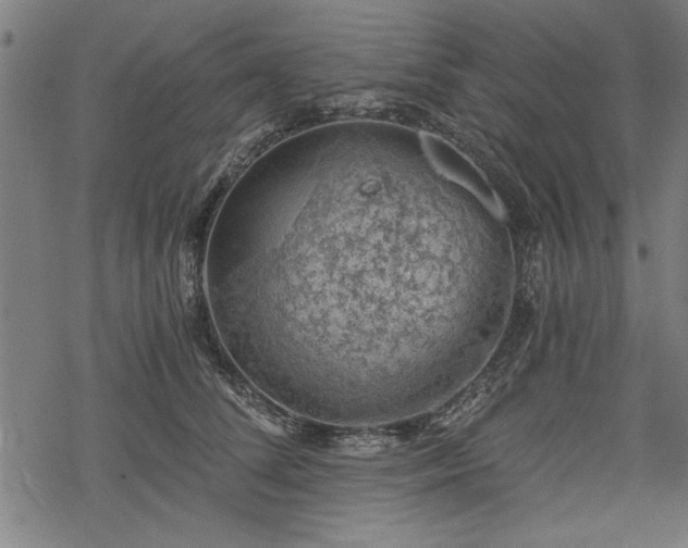 X0000068850708200605081215