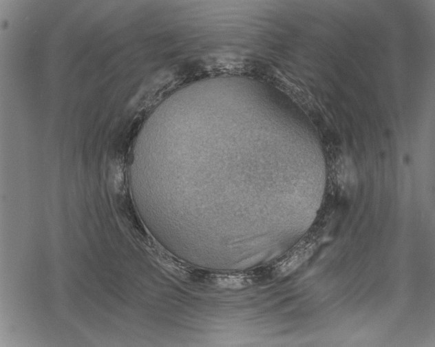 X0000068850709200605081215