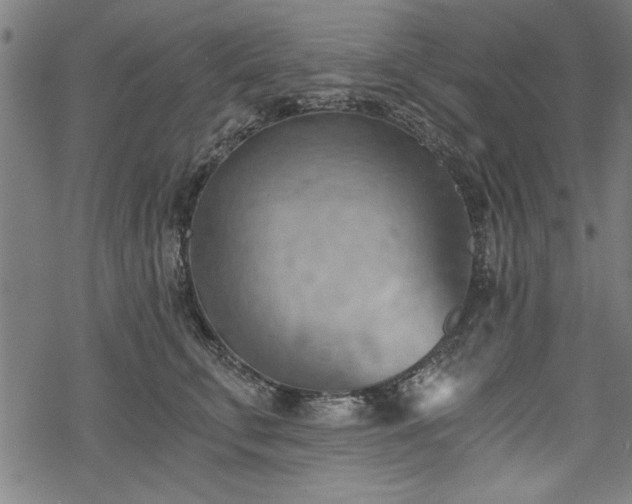 X0000068850711200605081215