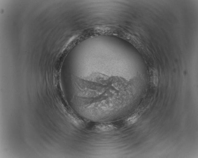 X0000068850712200605081215