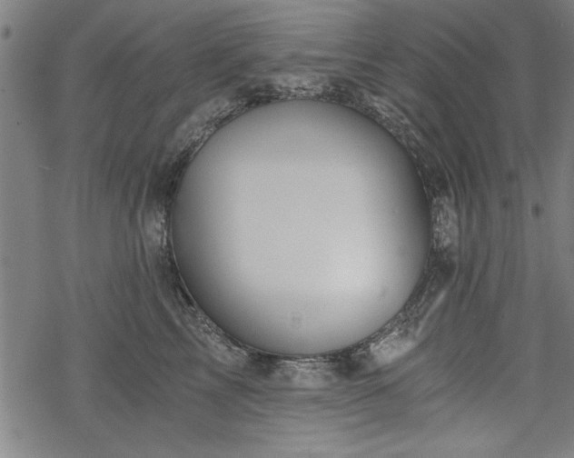 X0000068850713200605081215