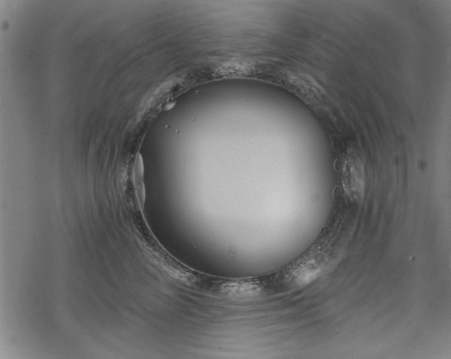 X0000068850714200605081215