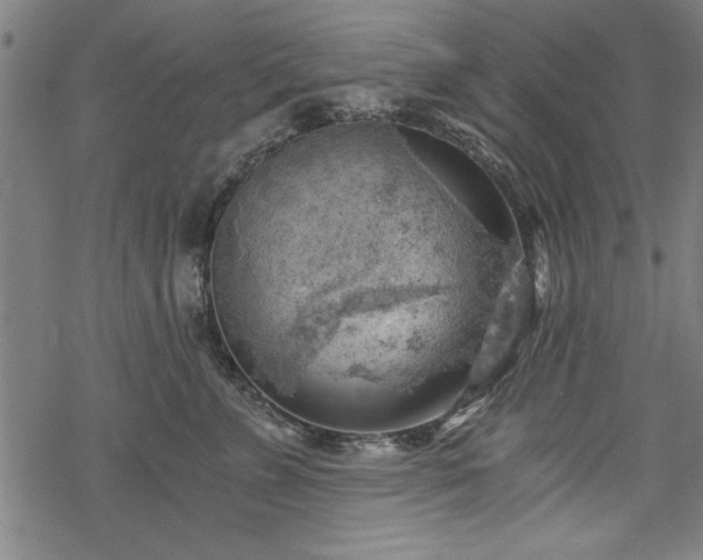 X0000068850715200605081215