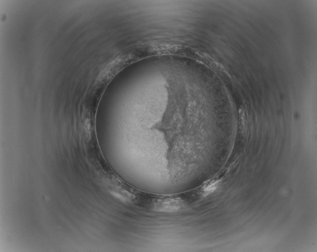 X0000068850716200605081215