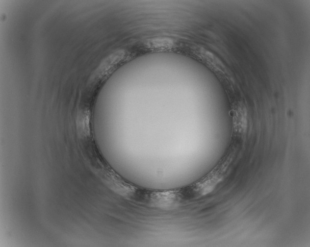 X0000068850717200605081215