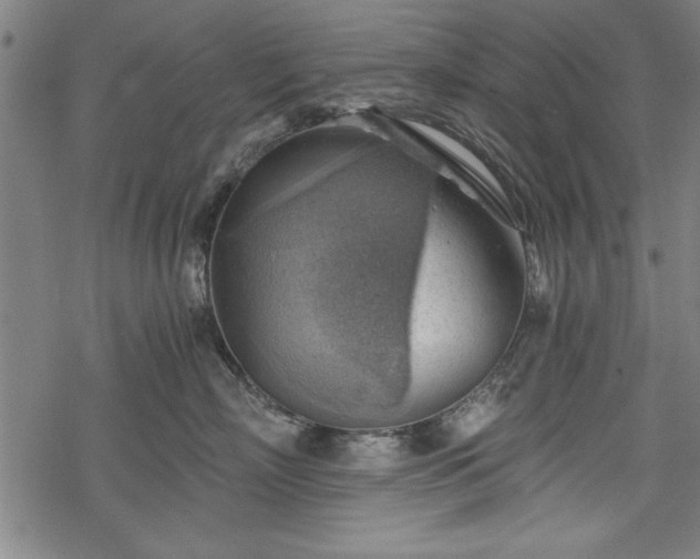 X0000068850718200605081215