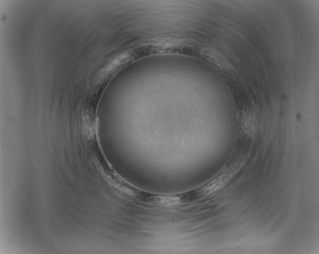 X0000068850719200605081215