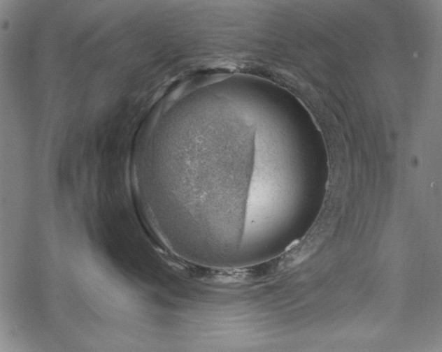 X0000068850720200605081215