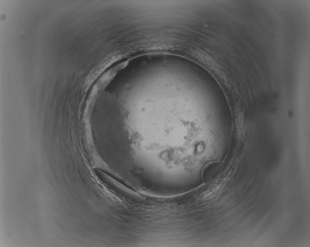 X0000068850721200605081214