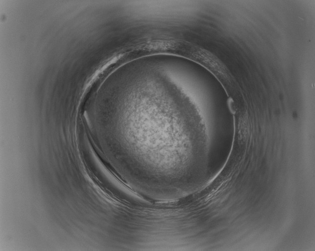 X0000068850722200605081214