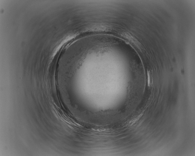 X0000068850723200605081214