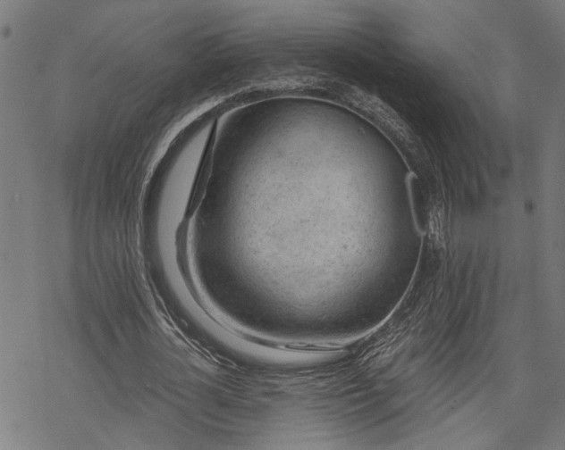 X0000068850724200605081214