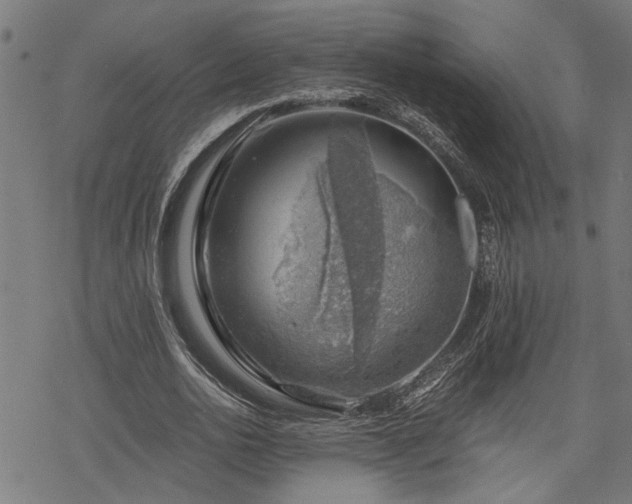 X0000068850726200605081214