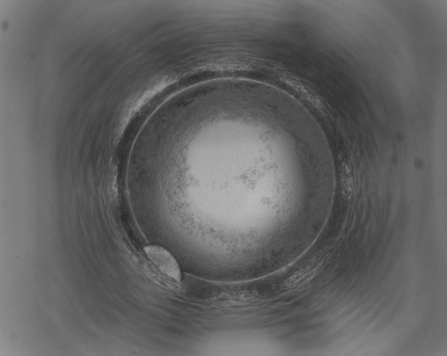 X0000068850727200605081214