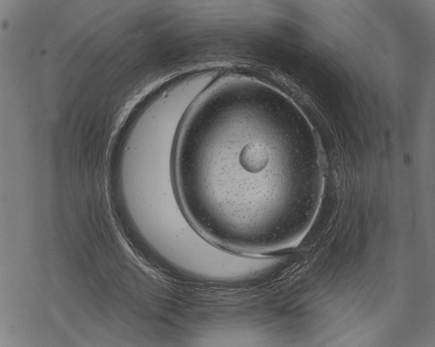 X0000068850728200605081214