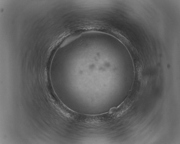 X0000068850729200605081214