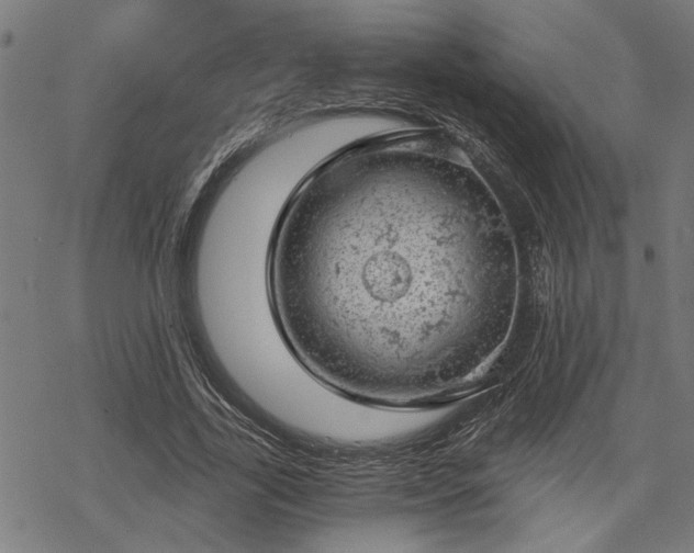 X0000068850731200605081214