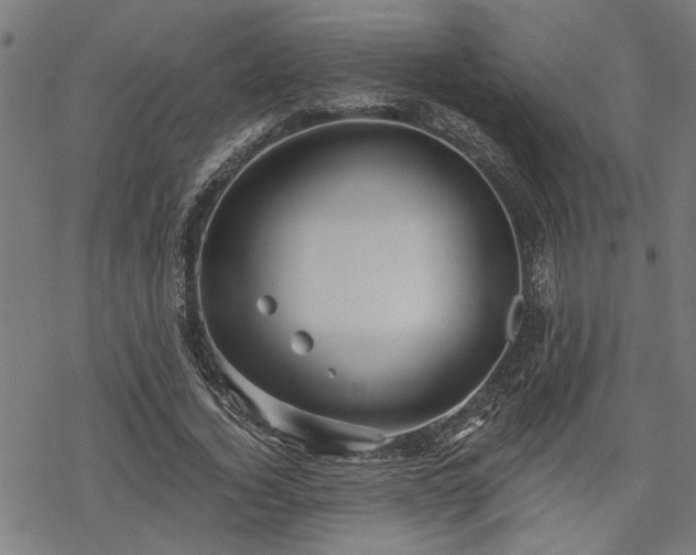 X0000068850732200605081214