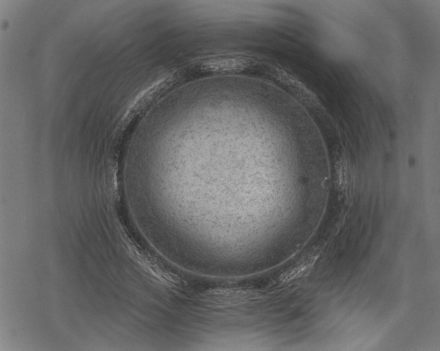 X0000068850733200605081214