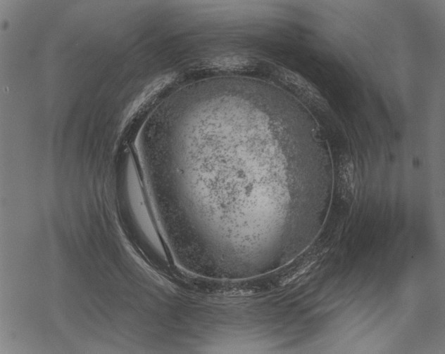 X0000068850734200605081214