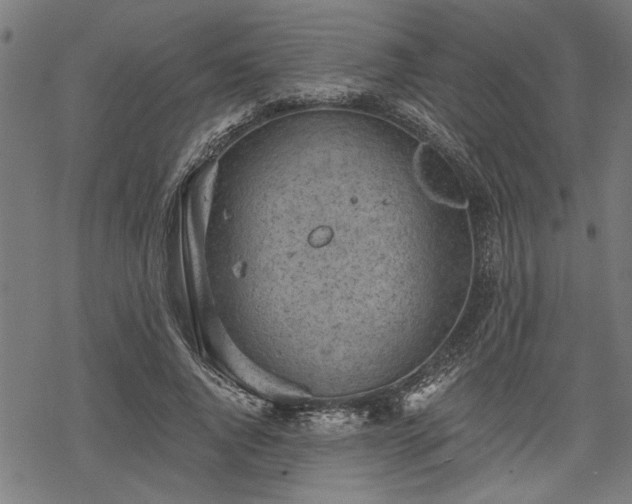 X0000068850736200605081214