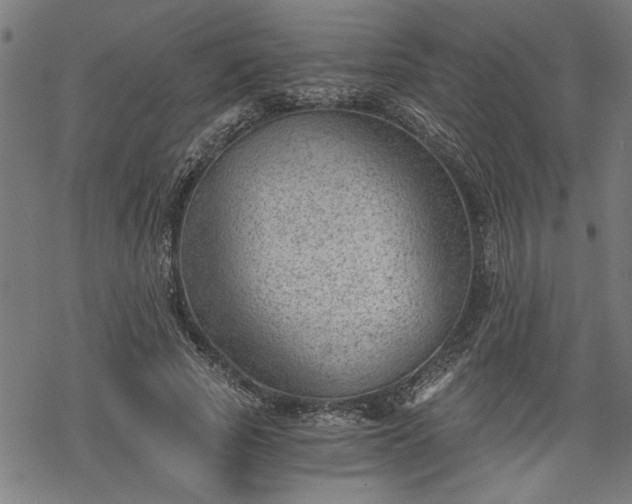 X0000068850737200605081214