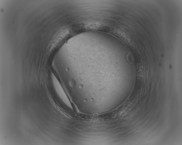 X0000068850738200605081214