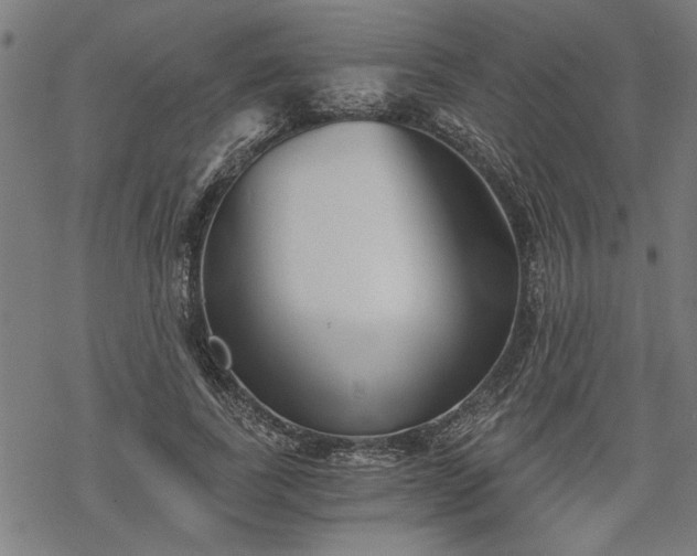 X0000068850739200605081214